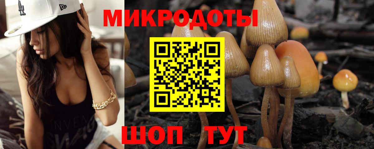 Псилоцибиновые грибы Psilocybe  Вход с VPN  Пенза  Псилоцибиновые грибы MAGIC MUSHROOMS 